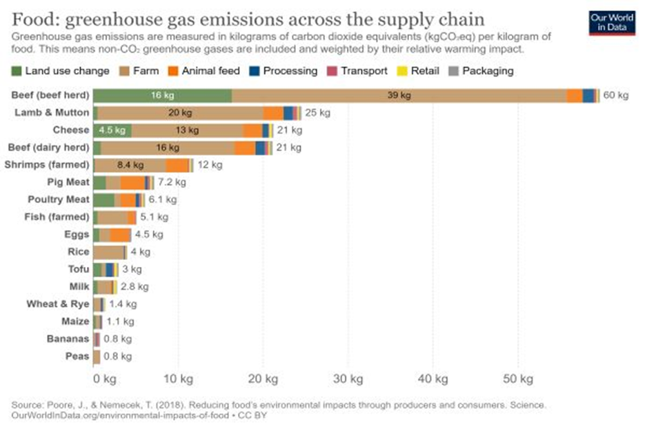 Text, chart, timeline